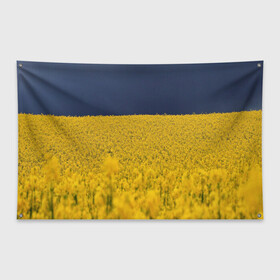 Флаг-баннер с принтом Рапсовое поле в Новосибирске, 100% полиэстер | размер 67 х 109 см, плотность ткани — 95 г/м2; по краям флага есть четыре люверса для крепления | rappsfeld | жёлтые | жёлтый | небеса | небесный | небо | поле | поля | природа | природные | природный | рапсовое | растение | растения | синие | синий | украина | украинский