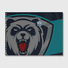 Альбом для рисования с принтом Форма Panda в Новосибирске, 100% бумага
 | матовая бумага, плотность 200 мг. | design | logo | mascot | баскетбол | герои | дикий | животное | звери | зверь | киберспорт | медведь | охота | панда | сверепый | спортивная | стиль | талисман | фитнес | форма | футбол | хищник | яркие