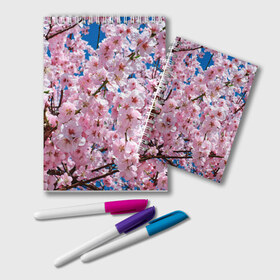 Блокнот с принтом Цветущая Сакура в Новосибирске, 100% бумага | 48 листов, плотность листов — 60 г/м2, плотность картонной обложки — 250 г/м2. Листы скреплены удобной пружинной спиралью. Цвет линий — светло-серый
 | 8 марта | весна | вишня | женский день | лепестки | март | поздравления | праздник 8 марта | ромашки | сакура | цветок | цветочки | цветы | япония
