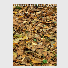 Скетчбук с принтом Листья в Новосибирске, 100% бумага
 | 48 листов, плотность листов — 100 г/м2, плотность картонной обложки — 250 г/м2. Листы скреплены сверху удобной пружинной спиралью | земпля | искусство | лето | листва | листья | осень | природа | сухая | текстура | текстуры