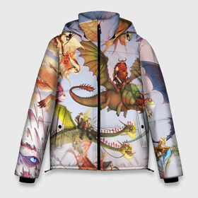 Мужская зимняя куртка 3D с принтом Как приручить дракона в Новосибирске, верх — 100% полиэстер; подкладка — 100% полиэстер; утеплитель — 100% полиэстер | длина ниже бедра, свободный силуэт Оверсайз. Есть воротник-стойка, отстегивающийся капюшон и ветрозащитная планка. 

Боковые карманы с листочкой на кнопках и внутренний карман на молнии. | dragon | how to train your dragon the hidden world | драконы | икинг | как приручить дракона 3 | персонажи
