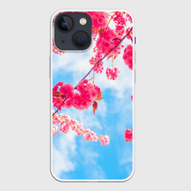 Чехол для iPhone 13 mini с принтом Цветение Вишни в Новосибирске,  |  | flowers | pink | бутоны | весна | вишня | дерево | листья | небо | облака | природа | розовый | сакура | солнце | цветение | цветочки | цветы