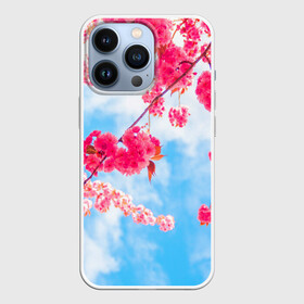 Чехол для iPhone 13 Pro с принтом Цветение Вишни в Новосибирске,  |  | flowers | pink | бутоны | весна | вишня | дерево | листья | небо | облака | природа | розовый | сакура | солнце | цветение | цветочки | цветы