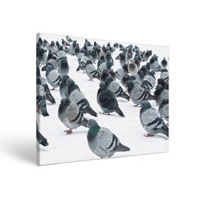 Холст прямоугольный с принтом Голуби в Новосибирске, 100% ПВХ |  | Тематика изображения на принте: bird | pigeon | russia | snow | winter | голубь | животные | зима | курлык | птицы | россия | снег | текстура | фон | фотография