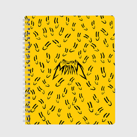 Тетрадь с принтом Пошлая Молли Смайлики в Новосибирске, 100% бумага | 48 листов, плотность листов — 60 г/м2, плотность картонной обложки — 250 г/м2. Листы скреплены сбоку удобной пружинной спиралью. Уголки страниц и обложки скругленные. Цвет линий — светло-серый
 | Тематика изображения на принте: pop | punk | rock | желтый | лого | панк | паттерн | поп | рок | смайл | смайлик
