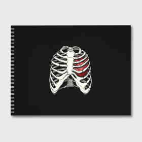 Альбом для рисования с принтом My Heart в Новосибирске, 100% бумага
 | матовая бумага, плотность 200 мг. | Тематика изображения на принте: bone | bones | chest | heart | hearts | love | organ | organs | ribs | skeleton | x ray | грудная клетка | кости | кость | орган | органы | ребра | рентген | сердца | сердце | скелет