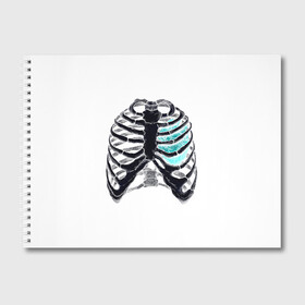 Альбом для рисования с принтом X-Ray в Новосибирске, 100% бумага
 | матовая бумага, плотность 200 мг. | Тематика изображения на принте: bone | bones | chest | heart | hearts | love | organ | organs | ribs | skeleton | x ray | грудная клетка | кости | кость | орган | органы | ребра | рентген | сердца | сердце | скелет