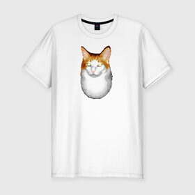 Мужская футболка премиум с принтом ГНЕГ в Новосибирске, 92% хлопок, 8% лайкра | приталенный силуэт, круглый вырез ворота, длина до линии бедра, короткий рукав | гнег | ирония | котэ | мем | мемы про котов | мета | постирония | прикол | ржака