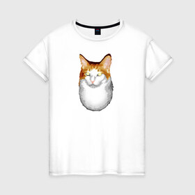 Женская футболка хлопок с принтом ГНЕГ в Новосибирске, 100% хлопок | прямой крой, круглый вырез горловины, длина до линии бедер, слегка спущенное плечо | гнег | ирония | котэ | мем | мемы про котов | мета | постирония | прикол | ржака