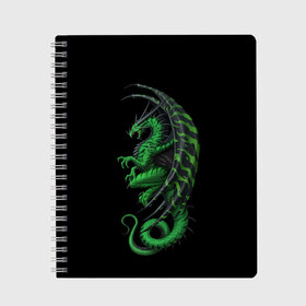 Тетрадь с принтом Green Dragon в Новосибирске, 100% бумага | 48 листов, плотность листов — 60 г/м2, плотность картонной обложки — 250 г/м2. Листы скреплены сбоку удобной пружинной спиралью. Уголки страниц и обложки скругленные. Цвет линий — светло-серый
 | Тематика изображения на принте: beast | dinosaur | dragon | fire | hunter | ice | monster | predator | reptile | динозавр | дракон | зверь | лед | ледяной | монстр | огненный | огонь | охотник | хищник