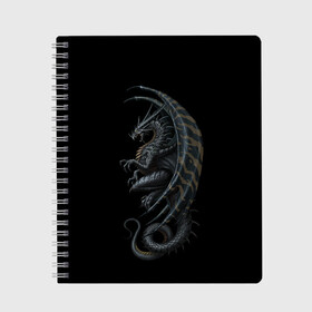 Тетрадь с принтом Black Dragon в Новосибирске, 100% бумага | 48 листов, плотность листов — 60 г/м2, плотность картонной обложки — 250 г/м2. Листы скреплены сбоку удобной пружинной спиралью. Уголки страниц и обложки скругленные. Цвет линий — светло-серый
 | beast | dinosaur | dragon | fire | hunter | ice | monster | predator | reptile | динозавр | дракон | зверь | лед | ледяной | монстр | огненный | огонь | охотник | хищник