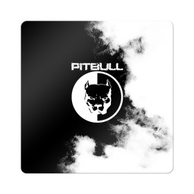 Магнит виниловый Квадрат с принтом Pitbull в Новосибирске, полимерный материал с магнитным слоем | размер 9*9 см, закругленные углы | american | pit bull | pitbul | pitbull | syndicate | te | агрессия | американский | апбт | башка | бошка | взгляд | голова | животное | зверь | злой | надпись | пит буль | питбул | питбуль | питбультерьер | псина | собака