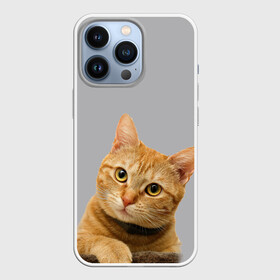 Чехол для iPhone 13 Pro с принтом Рыжий котик в Новосибирске,  |  | baby | cat | kitty | глаза | голова | животные | зверь | кот | котенок | котики | кошки | лапы | малыш | полосатый | рыжий