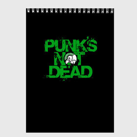 Скетчбук с принтом Punks Not Dead в Новосибирске, 100% бумага
 | 48 листов, плотность листов — 100 г/м2, плотность картонной обложки — 250 г/м2. Листы скреплены сверху удобной пружинной спиралью | art | punk | punks not dead | rock | sons of anarchy | анархия | арт | группа | егор летов | логотип | музыка | надпись | панк | панк рок | прикольная | рок | свобода | хаос