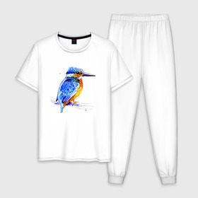 Мужская пижама хлопок с принтом Kingfisher в Новосибирске, 100% хлопок | брюки и футболка прямого кроя, без карманов, на брюках мягкая резинка на поясе и по низу штанин
 | акварель | графика | зимородок | крутой | модный | принт | птица | птичка | рисунок | рыбак | рыболов | скетч | стильный | яркий