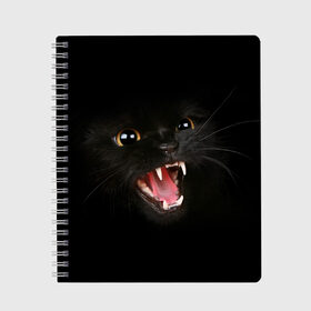 Тетрадь с принтом Злой Котик в Новосибирске, 100% бумага | 48 листов, плотность листов — 60 г/м2, плотность картонной обложки — 250 г/м2. Листы скреплены сбоку удобной пружинной спиралью. Уголки страниц и обложки скругленные. Цвет линий — светло-серый
 | Тематика изображения на принте: angry | animal | animals | beast | black | cat | kitten | британец | британка | животное | животные | зверек | зверь | злая | злой | кот | котейка | котенок | котэ | кошка | кошки | черная
