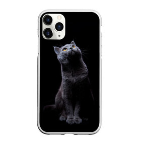 Чехол для iPhone 11 Pro Max матовый с принтом Кот Британец в Новосибирске, Силикон |  | Тематика изображения на принте: animal | animals | beast | black | cat | kitten | британец | британка | животное | животные | зверек | зверь | кот | котейка | котенок | котики | котэ | кошка | кошки | черная