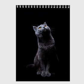 Скетчбук с принтом Кот Британец в Новосибирске, 100% бумага
 | 48 листов, плотность листов — 100 г/м2, плотность картонной обложки — 250 г/м2. Листы скреплены сверху удобной пружинной спиралью | Тематика изображения на принте: animal | animals | beast | black | cat | kitten | британец | британка | животное | животные | зверек | зверь | кот | котейка | котенок | котики | котэ | кошка | кошки | черная