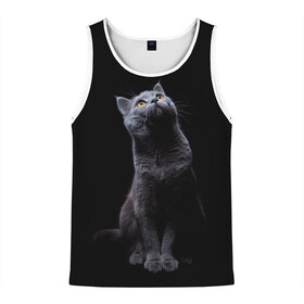 Мужская майка 3D с принтом Кот Британец в Новосибирске, 100% полиэстер | круглая горловина, приталенный силуэт, длина до линии бедра. Пройма и горловина окантованы тонкой бейкой | animal | animals | beast | black | cat | kitten | британец | британка | животное | животные | зверек | зверь | кот | котейка | котенок | котики | котэ | кошка | кошки | черная