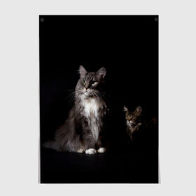 Постер с принтом Котики в Новосибирске, 100% бумага
 | бумага, плотность 150 мг. Матовая, но за счет высокого коэффициента гладкости имеет небольшой блеск и дает на свету блики, но в отличии от глянцевой бумаги не покрыта лаком | animal | animals | beast | black | cat | kitten | животное | животные | зверек | зверь | кот | котейка | котенок | котики | котэ | кошка | кошки | мейн кун | черная