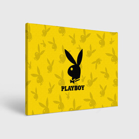 Холст прямоугольный с принтом PLAYBOY | ПЛЕЙБОЙ (Z) в Новосибирске, 100% ПВХ |  | brand | brazzers | fake taxi | faketaxi | hub | mode | playboy | бразерс | бренд | мода | фейк такси