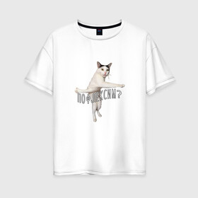 Женская футболка хлопок Oversize с принтом Пофлексим? в Новосибирске, 100% хлопок | свободный крой, круглый ворот, спущенный рукав, длина до линии бедер
 | cat | flex | mem | кот | мем | молодежь | прикольная надпись | прикольный кот | сленг | смешной кот | флекс | юмор