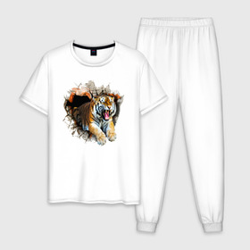 Мужская пижама хлопок с принтом Тигр в Новосибирске, 100% хлопок | брюки и футболка прямого кроя, без карманов, на брюках мягкая резинка на поясе и по низу штанин
 | animal | tiger | арт | животное | полосатый | рисунок | тигр | хищная кошка | хищник