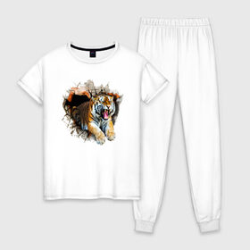 Женская пижама хлопок с принтом Тигр в Новосибирске, 100% хлопок | брюки и футболка прямого кроя, без карманов, на брюках мягкая резинка на поясе и по низу штанин | animal | tiger | арт | животное | полосатый | рисунок | тигр | хищная кошка | хищник
