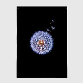 Постер с принтом Одуванчик в Новосибирске, 100% бумага
 | бумага, плотность 150 мг. Матовая, но за счет высокого коэффициента гладкости имеет небольшой блеск и дает на свету блики, но в отличии от глянцевой бумаги не покрыта лаком | flower | листья | одуванчик | прикольная | пух | растение | растения | цветок | цветы