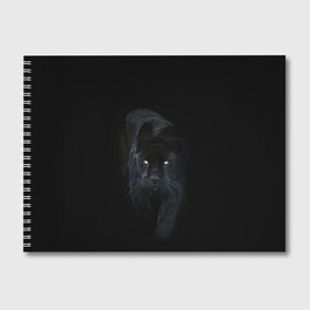 Альбом для рисования с принтом Пантера в Новосибирске, 100% бумага
 | матовая бумага, плотность 200 мг. | animal | animals | beast | black | cat | kitten | phanter | животное | животные | зверек | зверь | кот | котики | кошка | кошки | пантера | черная