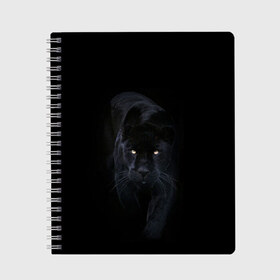 Тетрадь с принтом Пантера в Новосибирске, 100% бумага | 48 листов, плотность листов — 60 г/м2, плотность картонной обложки — 250 г/м2. Листы скреплены сбоку удобной пружинной спиралью. Уголки страниц и обложки скругленные. Цвет линий — светло-серый
 | Тематика изображения на принте: animal | animals | beast | black | cat | kitten | phanter | животное | животные | зверек | зверь | кот | котики | кошка | кошки | пантера | черная