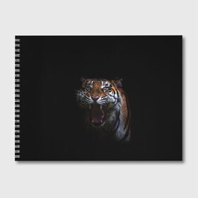 Альбом для рисования с принтом Тигр в Новосибирске, 100% бумага
 | матовая бумага, плотность 200 мг. | animal | animals | beast | black | cat | kitten | tiger | животное | животные | зверек | зверь | кот | котики | кошка | кошки | тигр | черная