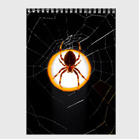 Скетчбук с принтом Spider в Новосибирске, 100% бумага
 | 48 листов, плотность листов — 100 г/м2, плотность картонной обложки — 250 г/м2. Листы скреплены сверху удобной пружинной спиралью | animal | hunter | spider | животное | животные | лапы | охота | охотник | паук | паутина | хищник
