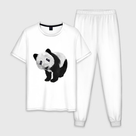 Мужская пижама хлопок с принтом Панда в Новосибирске, 100% хлопок | брюки и футболка прямого кроя, без карманов, на брюках мягкая резинка на поясе и по низу штанин
 | животное | медведь | панда | пушистый | черно белое