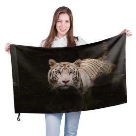 Флаг 3D с принтом Белый тигр в Новосибирске, 100% полиэстер | плотность ткани — 95 г/м2, размер — 67 х 109 см. Принт наносится с одной стороны | белые | белый | животное | животные | звери | зверушка | зверушки | зверь | зверьё | кот | котик | котики | коты | кошка | кошки | полосатые | полосатый | природа | тигр | тигры | хищник | хищники