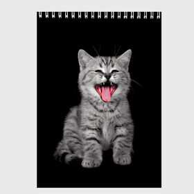 Скетчбук с принтом Кричащий кот в Новосибирске, 100% бумага
 | 48 листов, плотность листов — 100 г/м2, плотность картонной обложки — 250 г/м2. Листы скреплены сверху удобной пружинной спиралью | Тематика изображения на принте: животные | звери | зевающий кот | кися | кот | котенок | котики | коты | кричащий кот | минимализм | питомцы | прикольные картинки