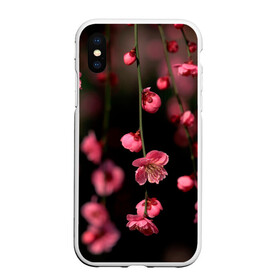 Чехол для iPhone XS Max матовый с принтом Весна 2020 в Новосибирске, Силикон | Область печати: задняя сторона чехла, без боковых панелей | весенние картинки | весна | весна 2020 | зелнь | прекрасное время года | прикольные картинки | природа | птицы | тюльпаны | цветы