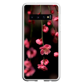 Чехол для Samsung Galaxy S10 с принтом Весна 2020 в Новосибирске, Силикон | Область печати: задняя сторона чехла, без боковых панелей | Тематика изображения на принте: весенние картинки | весна | весна 2020 | зелнь | прекрасное время года | прикольные картинки | природа | птицы | тюльпаны | цветы