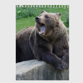 Скетчбук с принтом Медведь в Новосибирске, 100% бумага
 | 48 листов, плотность листов — 100 г/м2, плотность картонной обложки — 250 г/м2. Листы скреплены сверху удобной пружинной спиралью | животное | животные | звери | зверь | зверьё | зверьки | зоопарк | медведи | медведь | мишка | мишки | потапыч | природа | природный | фауна | хищник | хищники