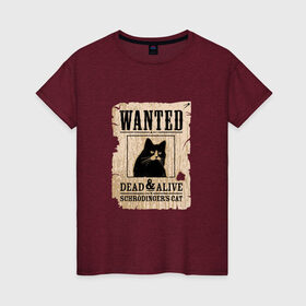 Женская футболка хлопок с принтом Кот в Новосибирске, 100% хлопок | прямой крой, круглый вырез горловины, длина до линии бедер, слегка спущенное плечо | cat | wanted | живым или мертвым | кот | кот шредингера | котэ | опасен | разыскивается | чёрный кот