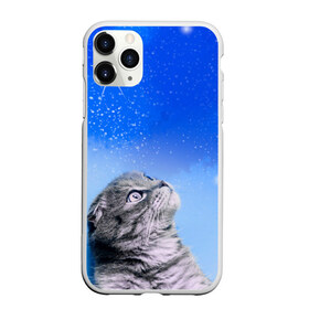 Чехол для iPhone 11 Pro Max матовый с принтом Кот и космос в Новосибирске, Силикон |  | cat | cat and space | kitty | в космосе | звездное небо | звёзды | космический кот | кот | кот в космосе | кот и звезды | кот смотрит | кот смотрит на небо | котенок | котик | кошка