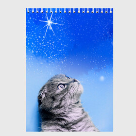 Скетчбук с принтом Кот и космос в Новосибирске, 100% бумага
 | 48 листов, плотность листов — 100 г/м2, плотность картонной обложки — 250 г/м2. Листы скреплены сверху удобной пружинной спиралью | cat | cat and space | kitty | в космосе | звездное небо | звёзды | космический кот | кот | кот в космосе | кот и звезды | кот смотрит | кот смотрит на небо | котенок | котик | кошка