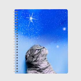 Тетрадь с принтом Кот и космос в Новосибирске, 100% бумага | 48 листов, плотность листов — 60 г/м2, плотность картонной обложки — 250 г/м2. Листы скреплены сбоку удобной пружинной спиралью. Уголки страниц и обложки скругленные. Цвет линий — светло-серый
 | Тематика изображения на принте: cat | cat and space | kitty | в космосе | звездное небо | звёзды | космический кот | кот | кот в космосе | кот и звезды | кот смотрит | кот смотрит на небо | котенок | котик | кошка