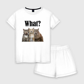 Женская пижама с шортиками хлопок с принтом Удивленные кошки в Новосибирске, 100% хлопок | футболка прямого кроя, шорты свободные с широкой мягкой резинкой | Тематика изображения на принте: веселые | котенок | котики | кошка | кошки | трио | удивление | удивленные