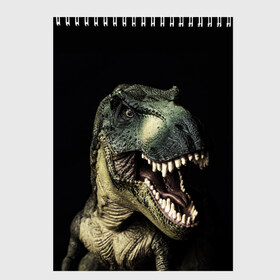 Скетчбук с принтом Динозавр T-Rex в Новосибирске, 100% бумага
 | 48 листов, плотность листов — 100 г/м2, плотность картонной обложки — 250 г/м2. Листы скреплены сверху удобной пружинной спиралью | Тематика изображения на принте: dino | dinosauria | t rex | ti rex | дино | динозавр | парк юрского | т рекс | ти рекс | чудовище | юрский период | ящер | ящерица