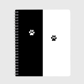 Тетрадь с принтом Кошачьи следы в Новосибирске, 100% бумага | 48 листов, плотность листов — 60 г/м2, плотность картонной обложки — 250 г/м2. Листы скреплены сбоку удобной пружинной спиралью. Уголки страниц и обложки скругленные. Цвет линий — светло-серый
 | Тематика изображения на принте: black and white | cat | животные | кот | кошачий след | кошка | половина | черно белый | чёрный и белый
