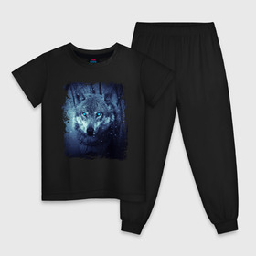 Детская пижама хлопок с принтом Волк в Новосибирске, 100% хлопок |  брюки и футболка прямого кроя, без карманов, на брюках мягкая резинка на поясе и по низу штанин
 | wolf | волк | волк в лесу | волк с голубыми глазами | лесной волк | ночной волк | синий волк | собака | темный волк