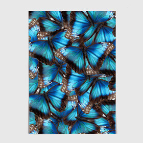 Постер с принтом Небесный рой в Новосибирске, 100% бумага
 | бумага, плотность 150 мг. Матовая, но за счет высокого коэффициента гладкости имеет небольшой блеск и дает на свету блики, но в отличии от глянцевой бумаги не покрыта лаком | бабочка | бабочки | белый | синий | черный | яркий цвет