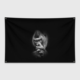 Флаг-баннер с принтом Ruanda в Новосибирске, 100% полиэстер | размер 67 х 109 см, плотность ткани — 95 г/м2; по краям флага есть четыре люверса для крепления | eyes | gorilla | muzzle | nostrils | paw | ruanda | view | взгляд | глаза | горилла | животные | лапа | ноздри | руанда