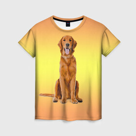 Женская футболка 3D с принтом Золотистый ретривер в Новосибирске, 100% полиэфир ( синтетическое хлопкоподобное полотно) | прямой крой, круглый вырез горловины, длина до линии бедер | домашние любимцы | животные | золотистый ретривер | собака